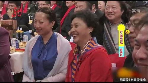 小品开心麻花视频,开心麻花小品视频中的欢乐瞬间