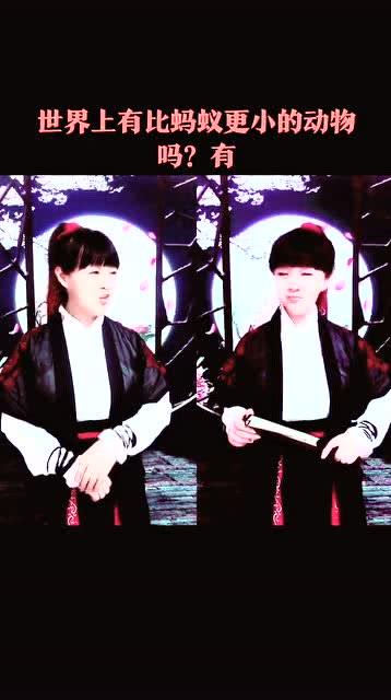 猪摇头视频,揭秘动物界的可爱瞬间